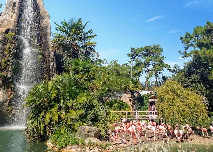 Apartment 2 Bedroom Amazing In Royan